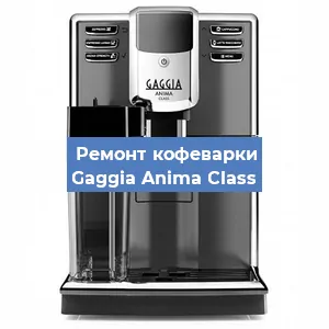 Замена прокладок на кофемашине Gaggia Anima Class в Красноярске